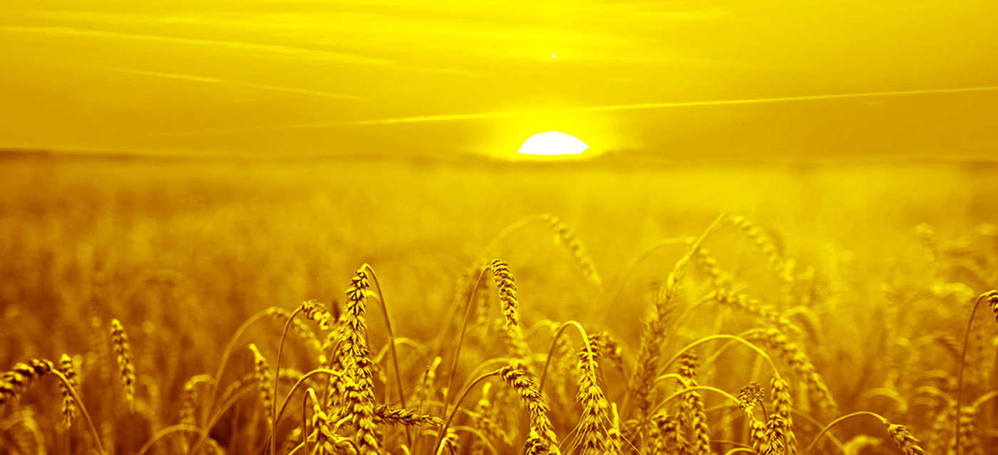 Rydyn ni'n Hoffi Cynnig Datrysiadau Lliw